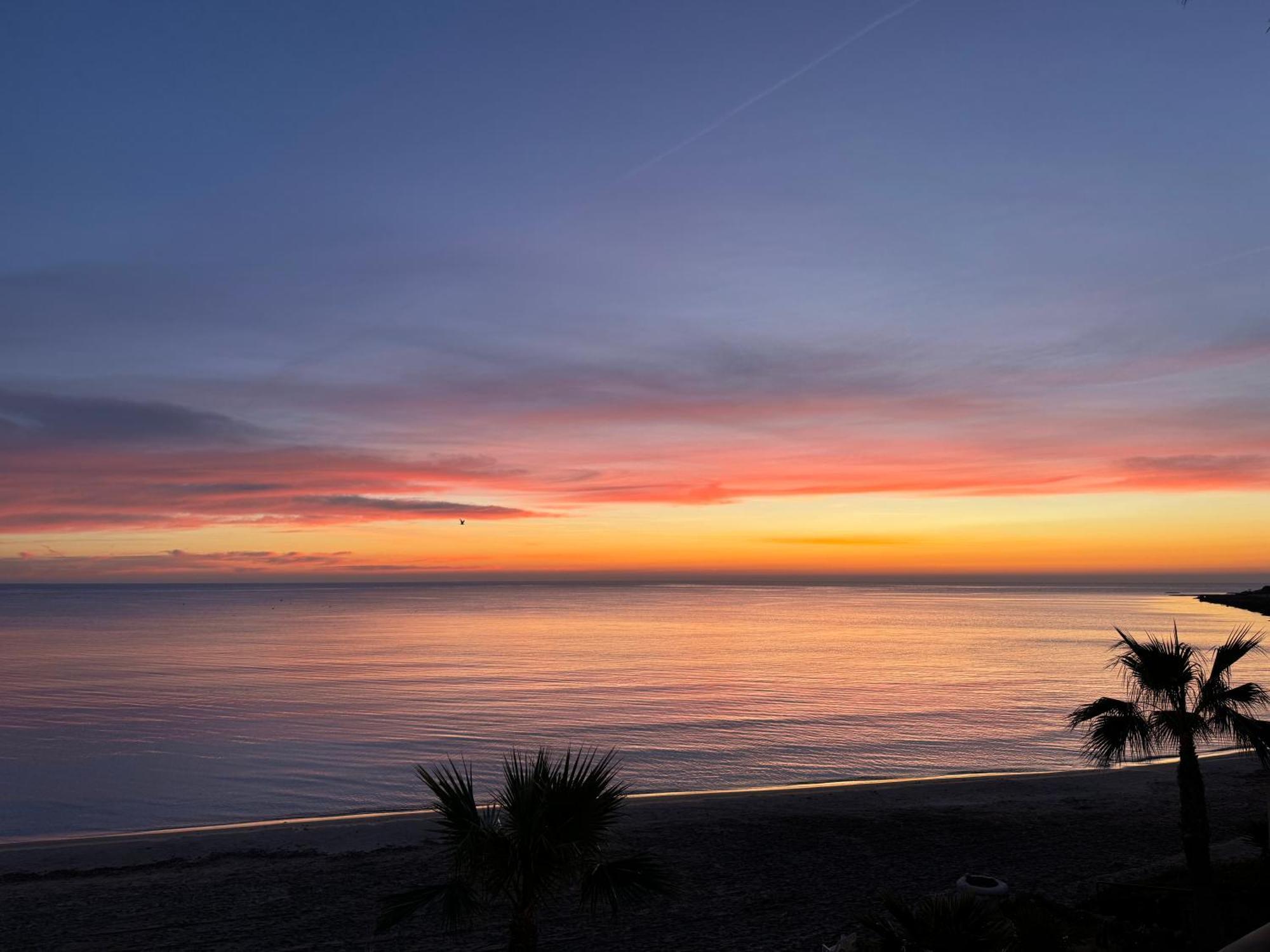 Excepcional Apartamento Loft A Pie De Playa En Chalet Roquetes Alicante Dış mekan fotoğraf