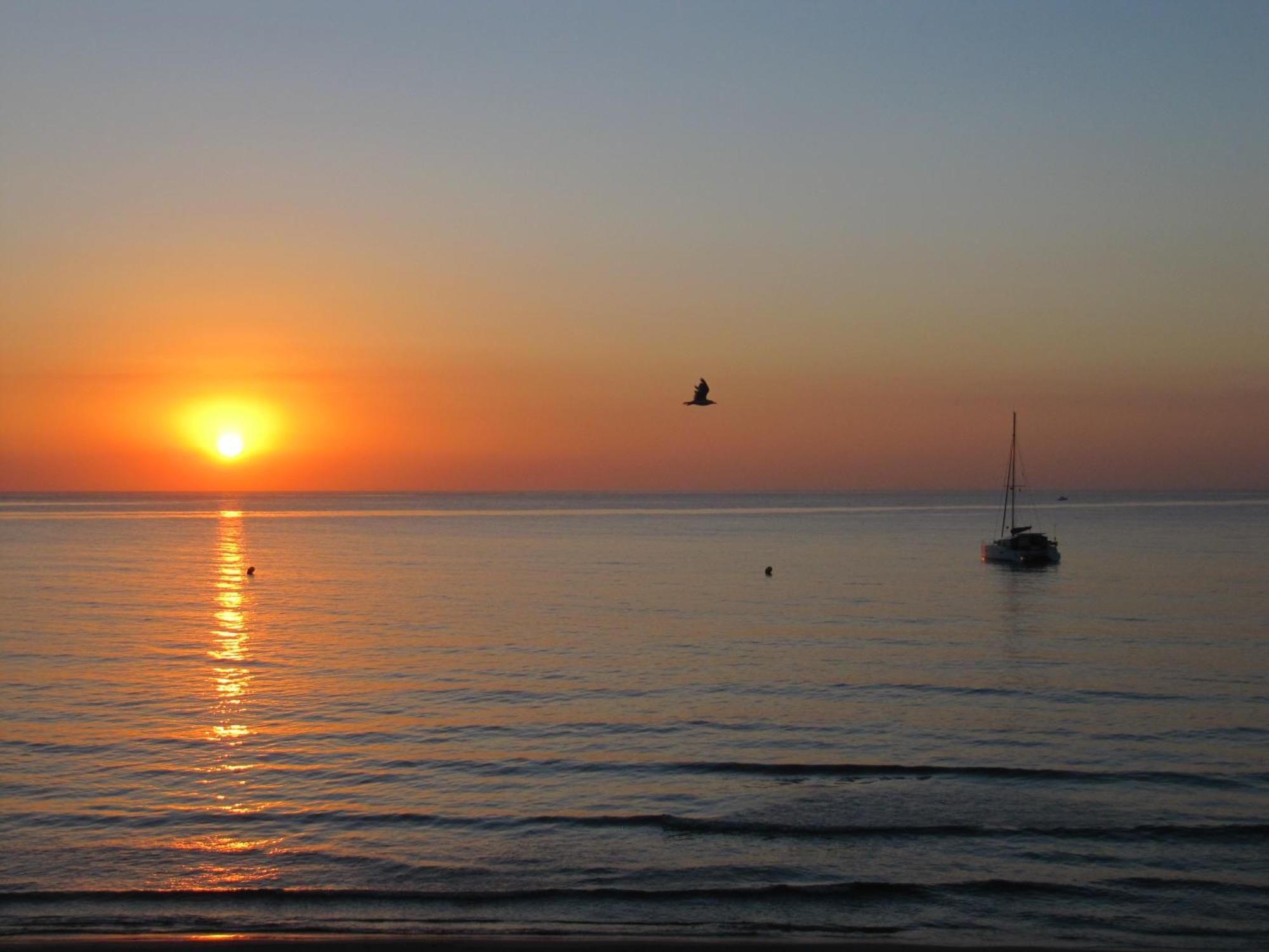 Excepcional Apartamento Loft A Pie De Playa En Chalet Roquetes Alicante Dış mekan fotoğraf